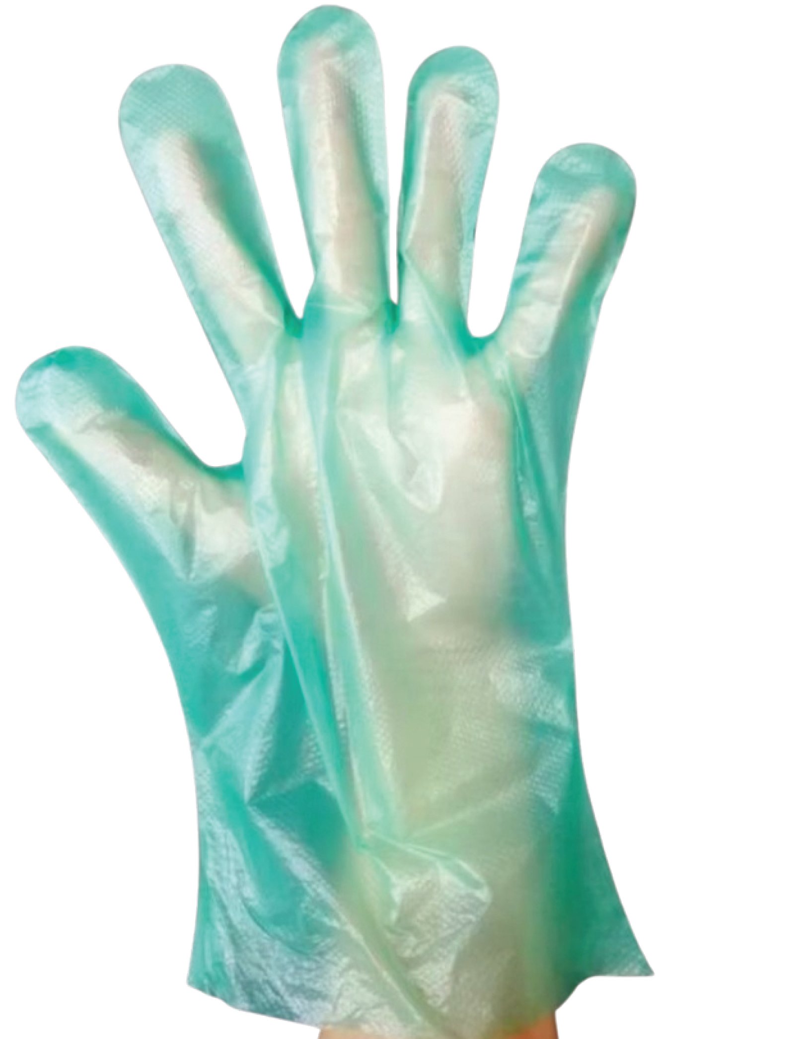 Disposable Plastic Gloves